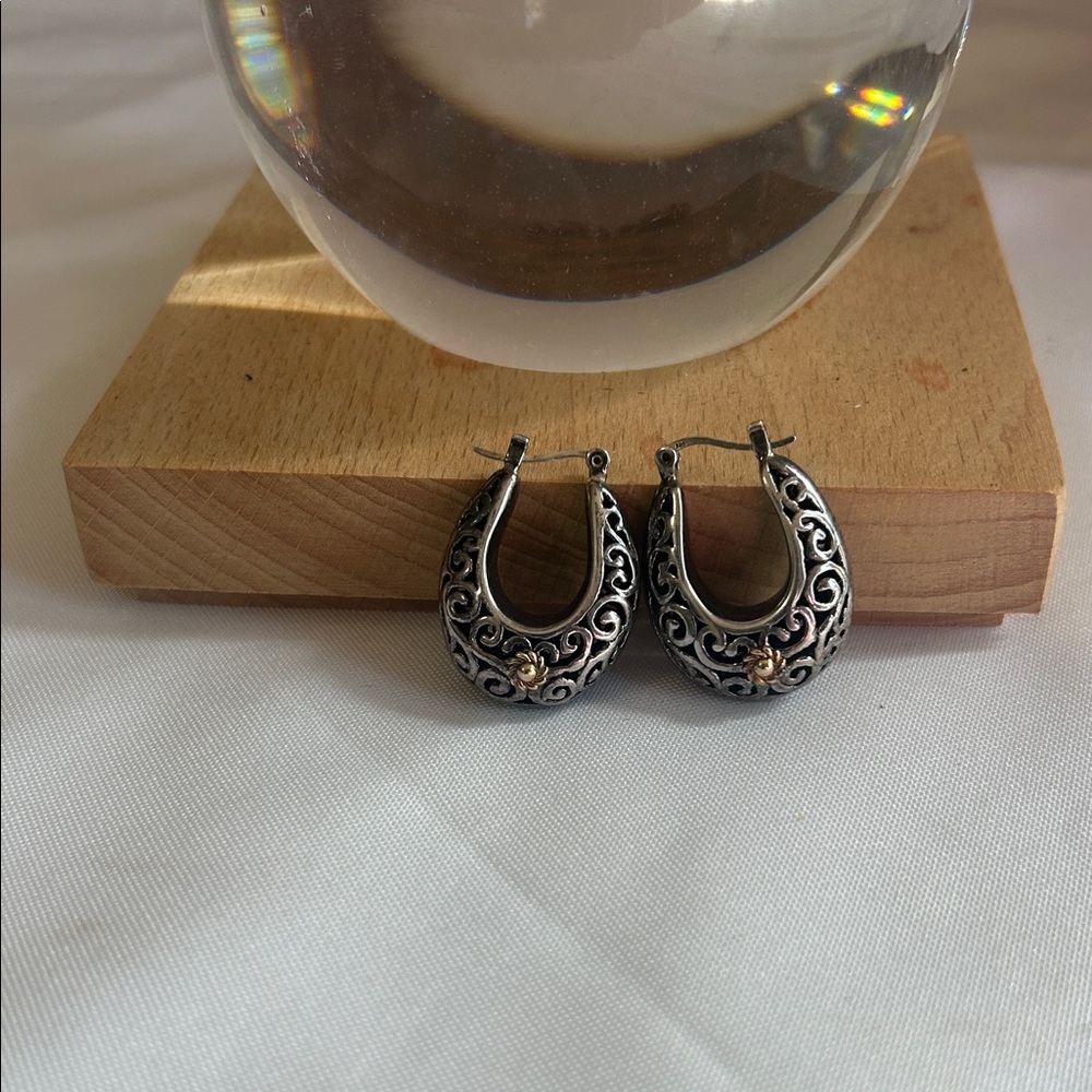 Silver and Gold Hoop Earrings